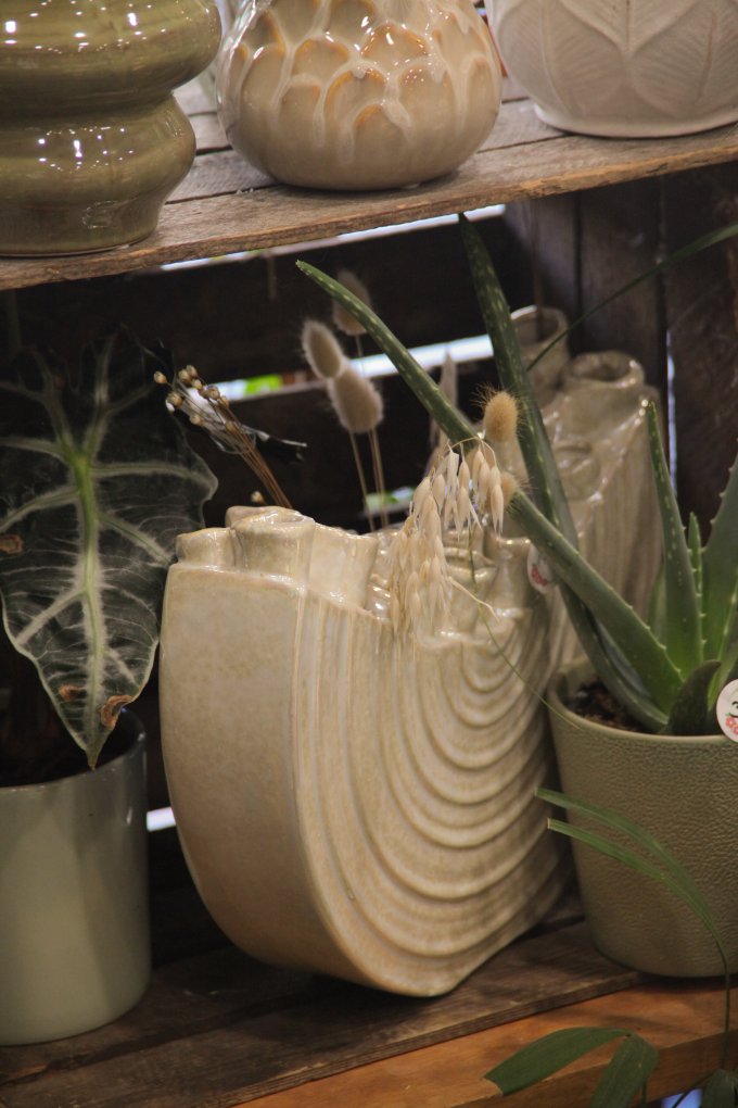 Un doux parfum d'automne photo 10